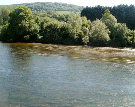 Monmouth and District Angling Society: River Wye (Duke's Water) - Fishing in Wales