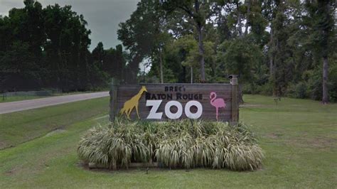 Dogs break into Baton Rouge Zoo and kill 3 monkeys | Fox News