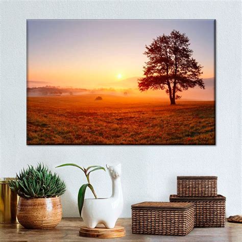 Meadow Sunrise Wall Art | Photography