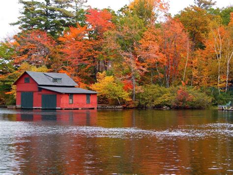 Squam Lakes Natural Science Center Blog: Fall Foliage Cruises on Squam Lake