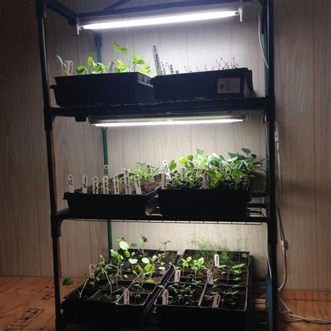 We love using our grow lights and mini greenhouses for indoor gardening ...