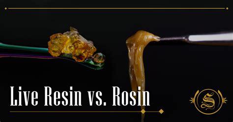 Live Resin Vs Rosin: The Differences And Preparation Methods - The Sanctuary