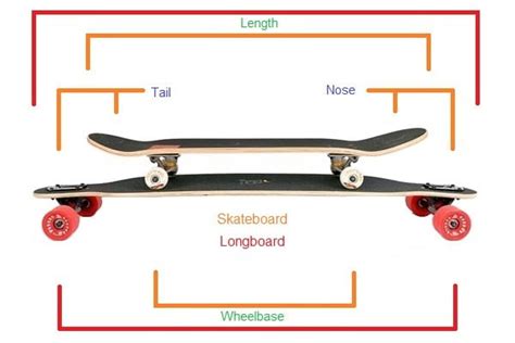 Longboard Vs Skateboard – What's The Difference? - The Review Mail