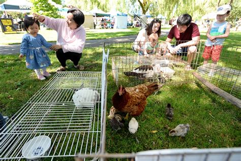 Queensborough Children's Festival serves up family fun: Photo Gallery - New West Record