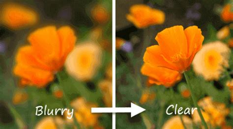 How To Remove Blur From Photo (Online & Offline) - TechBullion