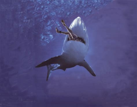 Chrissie is Devoured - Jaws Photo (2082880) - Fanpop