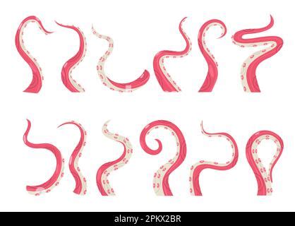 Squid isolated vector cephalopods marine animal sketch. Vector armhook squid, Decapodiformes ...