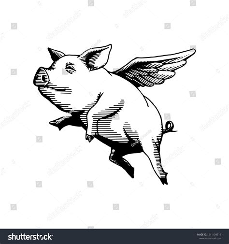 Flying Pig Illustration Drawing Stock Vector (Royalty Free) 1211139319 ...