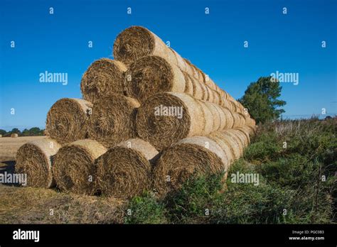Stacked Round Hay Bales Stock Photos & Stacked Round Hay Bales Stock Images - Alamy