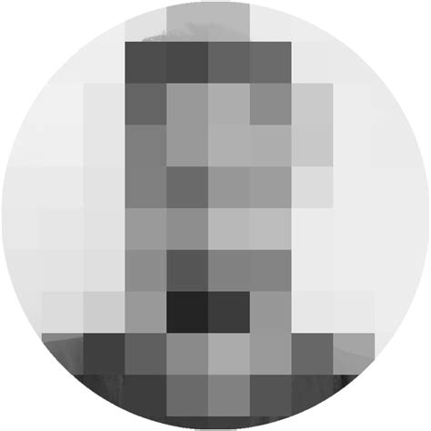 Censored Blur Abstract Portrait with Pixelated Face Free PNG | PNG All