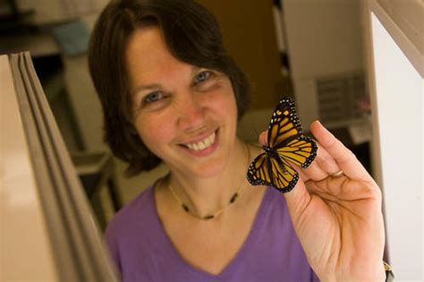 Citizen Science Brings Monarch Butterfly Parasitoids to Light | University of Minnesota