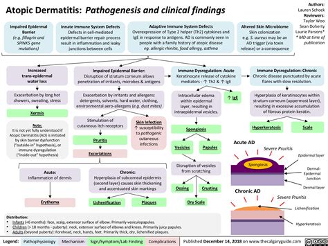 Atopic Dermatitis: Pathogenesis and Clinical Findings | Calgary Guide