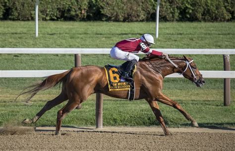 What's Horse Racing Like in Japan? - Just About Japan