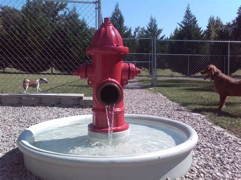 Dog E Dog World: The new fire hydrant water fountain... | Dog park, Dog ...