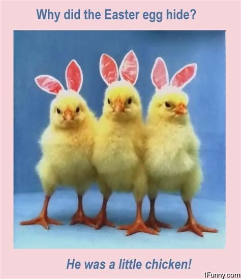 Easter Chicks – 1Funny.com