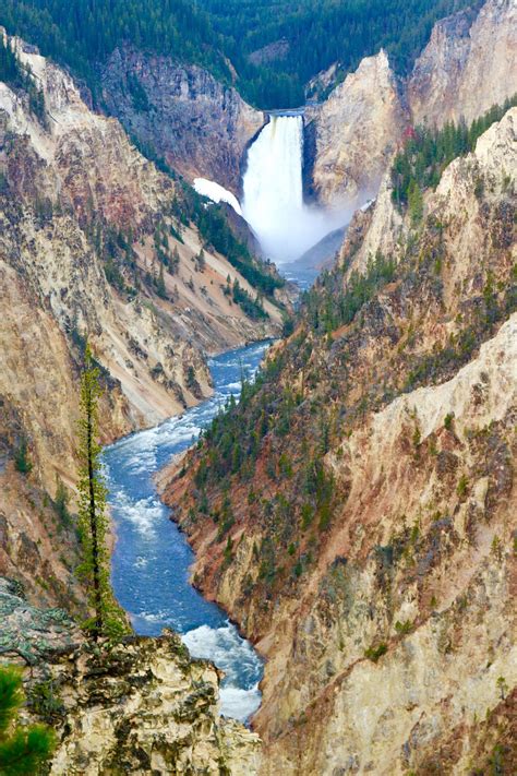 artist point yellowstone sunrise - Mallory Barron