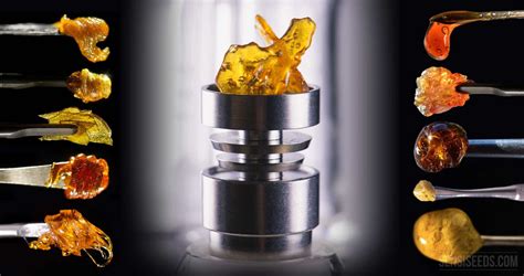 Most Ecofriendly Extraction Method - Extraction Magazine