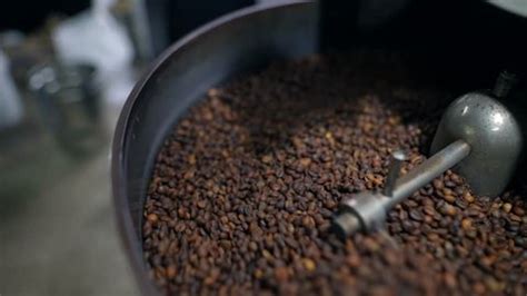 Pile Arabica Coffee Beans Which Roasting Stock Footage Video (100% Royalty-free) 1098359895 ...