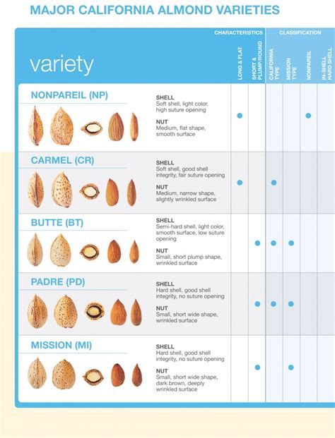 Types of California Almonds