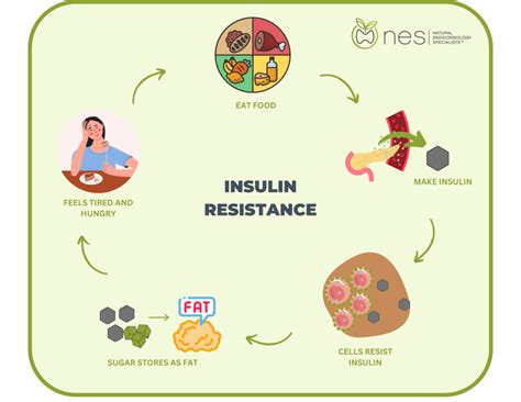 Insulin Resistance & Diabetes Testing