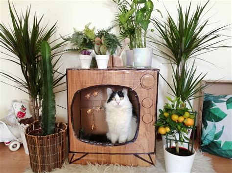 #cat #muffin #cardboardboxcreative #cardboard #box #craft #recycling # ...