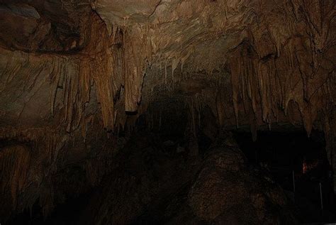 Mammoth Cave National Park in Mammoth Cave, Kentucky | Mammoth cave ...