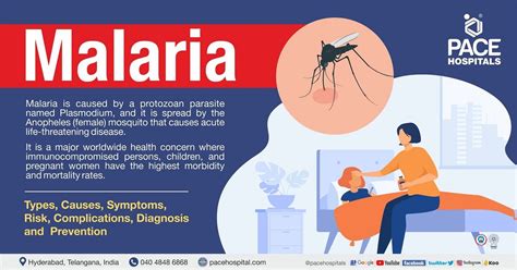 Malaria Symptoms Causes Types Complications Prevention – NBKomputer