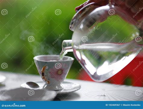 Pouring Hot Water from Glass Teapot into the Tea Cup, Summer Outdoor. Stock Image - Image of ...