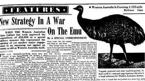 The Great Emu War: When Australians Lost to Flightless Birds