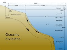 Abyssal plain - Wikipedia