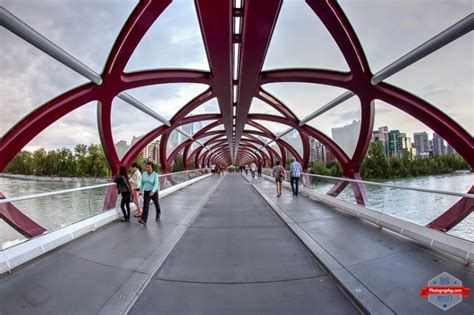 Peace on the Peace Bridge | Rob Moses Photography