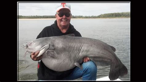 Bill Dance promoting 'Mississippi River Monsters' Catfish Tournament | WTVC