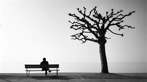 Online crop | grayscale photography of person sitting on bench near dead tree HD wallpaper ...