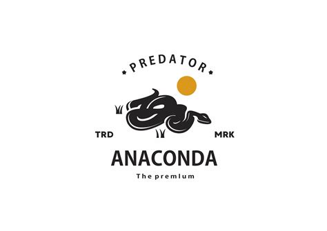 Anaconda Logo Graphic by ARTONIUMW · Creative Fabrica