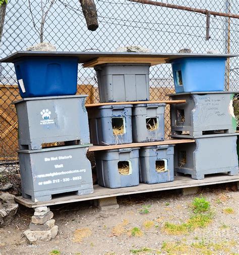 Feral Cat Shelter by Photo Researchers | Outdoor cat house, Feral cat ...