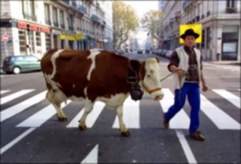 Blague : Un éleveur de vaches ~ desBlagues.net - les meilleures blagues d'internet