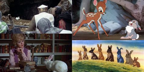 Best Movies That Feature Rabbits