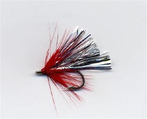 Coho Flash Fly | Steelhead flies, Fly tying patterns, Fly tying