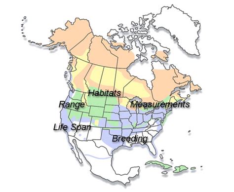 Northern Spotted Owl Habitat Map