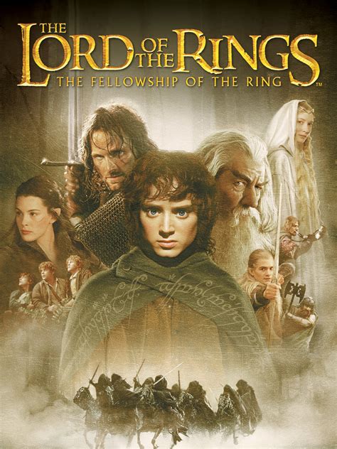 Lord Of The Rings Fellowship Of The Ring - Esam Solidarity