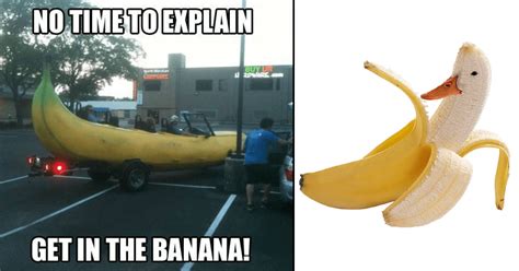 A Bunch of Banana Memes That Are Extremely Appealing - Memebase - Funny Memes