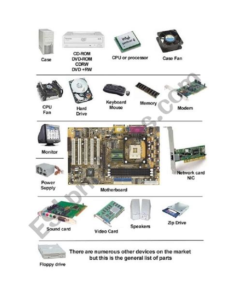 Basic Computer Parts and Functions - ESL worksheet by joannazach