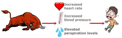 James Lange Theory Of Emotion: Definition, Explanation, And Examples