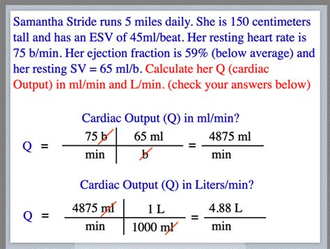 fasole Agricultură Faceți treburile casnice cardiac output calculator Noapte oricând joi