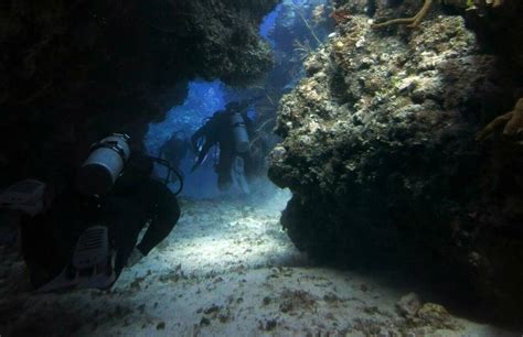 The best dive sites in Cozumel | BlueProject