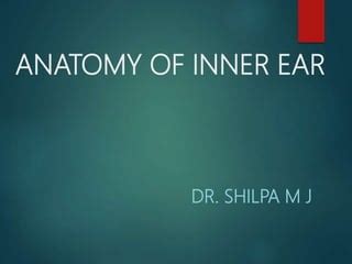 Anatomy of the Inner ear | PPT