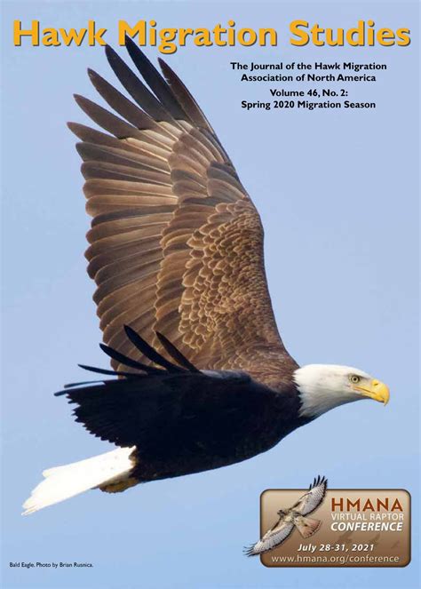 Hawk Migration Studies - Annual Print Subscription - HMANA