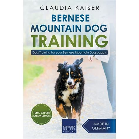 Bernese Mountain Dog Training : Dog Training for Your Bernese Mountain ...