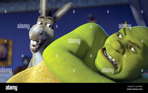 Shrek Dragon Donkey Babies