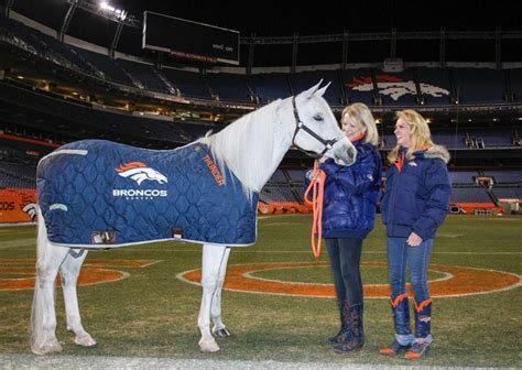 Did any of you see the Denver Bronco's mascot, THUNDER, on Sunday! HE ALMOST DIDN'T MAKE IT ...